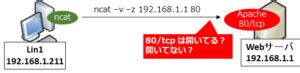 lv オプション netcat